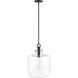 Hayloft 1 Light 14.2 inch Matte Black Indoor Pendant Ceiling Light